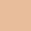 Swatch Color: 160W - Light Skin, Warm Tone